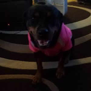 Meet your Posher, Jaden